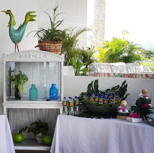 a table with a bowl of food and plants at Hotel Casa Natura in Pereira