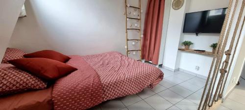 um quarto com uma cama com almofadas vermelhas e uma televisão em Studio équipé: TGV, RER, Paris, Saclay, ORLY em Massy