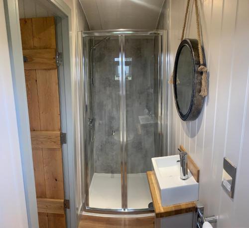 a bathroom with a shower and a sink at Springwood Shepherd Huts Glamping York in York
