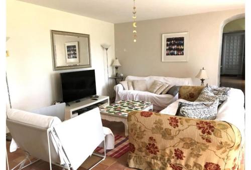 Airoux的住宿－5 Bedroom Villa, La Bastide d'Anjou, Occitanie，客厅配有两张沙发和一台电视机