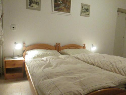 two beds in a bedroom with two lamps on a night stand at Penzion U Holubů Nový Jičín in Nový Jičín