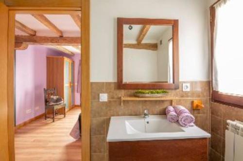 Abaurrea Alta的住宿－Casa rural Enekoizar，一间带水槽和镜子的浴室