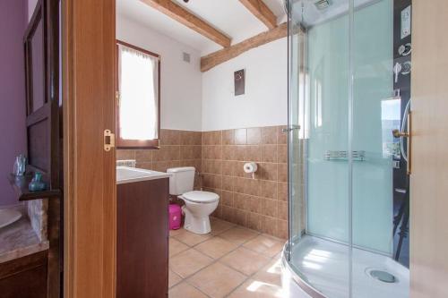 a bathroom with a toilet and a glass shower at Casa rural Enekoizar in Abaurrea Alta
