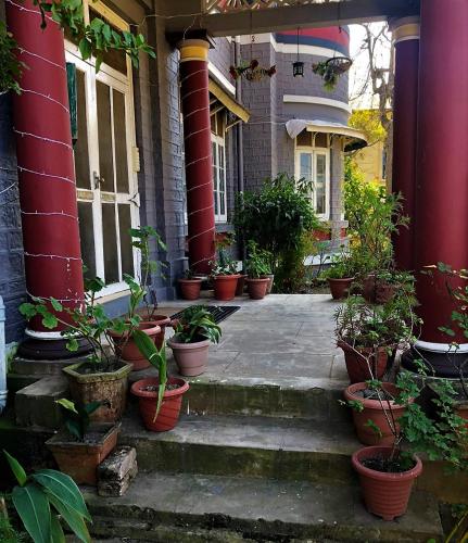 a group of potted plants on the steps of a house at Solan Retreat in Solan