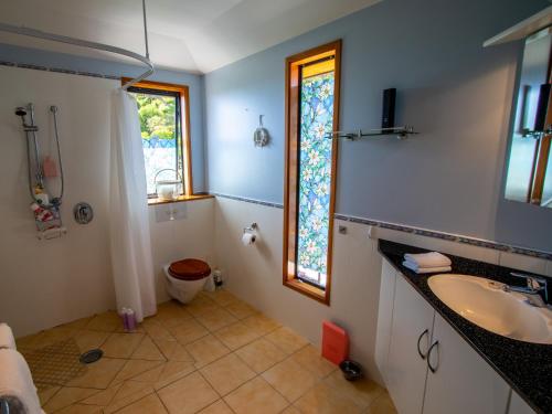 uma casa de banho com um lavatório, um WC e uma janela. em Aorere House - Collingwood Holiday Home em Collingwood