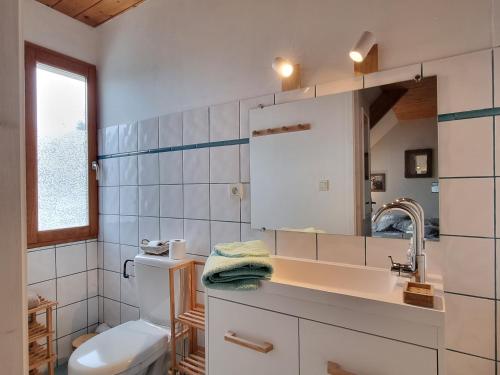 ein Badezimmer mit einem WC, einem Waschbecken und einem Spiegel in der Unterkunft Le Gentil Home Chambres d'Hôtes in Arras-en-Lavedan
