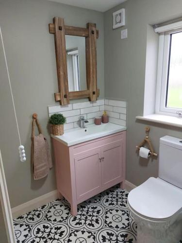 a bathroom with a sink and a toilet and a mirror at Wildthorn Cottage in Moyad