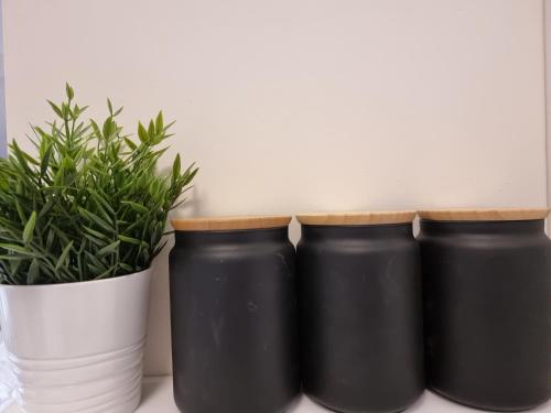 three black and white vases with plants in them at Jaffa 17 - Lihi brand new studio in Jerusalem