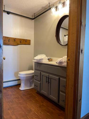 a bathroom with a toilet and a sink and a mirror at The Lodge at Pleasant Point in Lovell