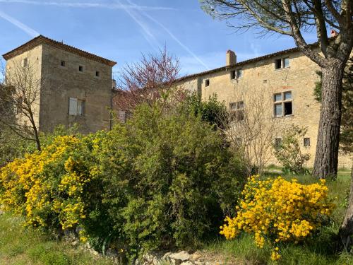 Zahrada ubytování Château de Mézerville