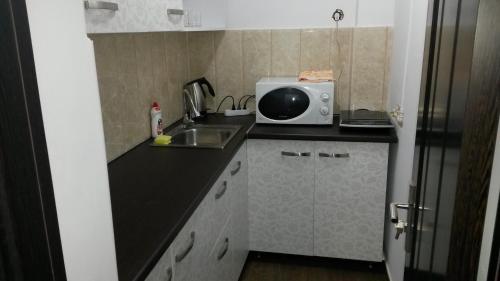 a small kitchen with a sink and a microwave at Lucy Accommodation in Bucharest