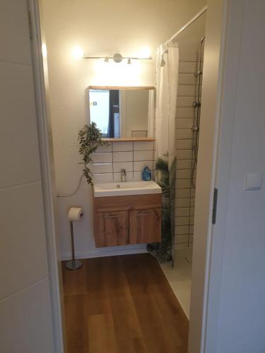 La salle de bains est pourvue d'un lavabo et d'un miroir. dans l'établissement Ferienwohnung Luitpold 2, à Memmingen