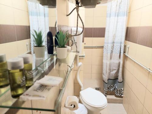 a bathroom with a toilet and plants on a counter at Apartment Bitola in Bitola