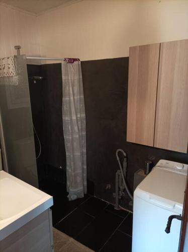 La petite salle de bains est pourvue d'une douche et d'un lavabo. dans l'établissement Joli 3 pièces au calme, à Saint-Martin-Vésubie