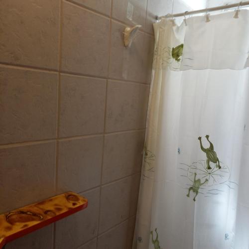 cortina de ducha con un dinosaurio en el baño en Villa Cura Brochero - La Moradita de VIlla Los Sauces en Villa Cura Brochero