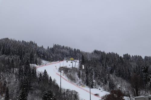 a ski slope on a hill with snow and trees at Landhaus-Appartements Warraich in Schladming