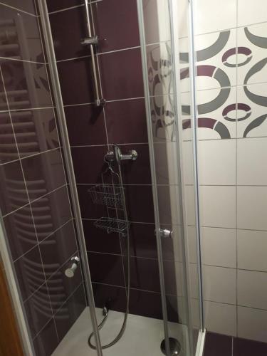 La salle de bains est pourvue d'une douche avec une porte en verre. dans l'établissement Penzion Imrichovi, à Moravská Nová Ves
