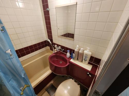 y baño con lavabo, aseo y espejo. en MORI Apartment2 道頓堀(Dotonbori) 1K, en Osaka