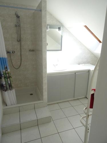 un bagno con doccia e lavandino di Le Massif des Ecrins a Les Clots