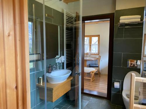 ein Bad mit einem Waschbecken und einer Glasdusche in der Unterkunft Magnolia Resort Chalets in Vişeu de Sus