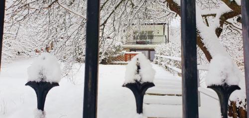 two parking meters covered in snow in front of a house at Iepurasul Sinaia in Sinaia