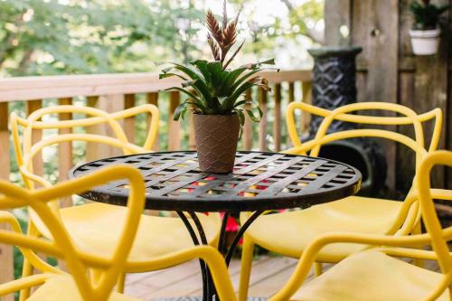 Windsor Paradise – Photos 2