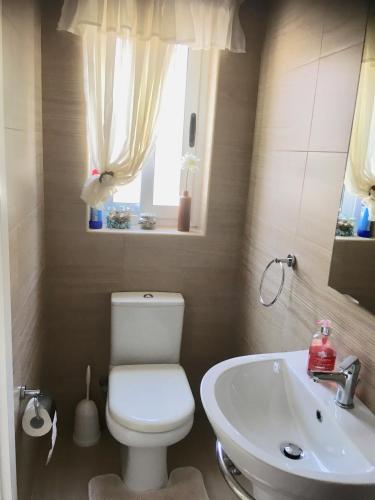 ein Bad mit einem WC, einem Waschbecken und einem Fenster in der Unterkunft Pembroke Suites in Pembroke