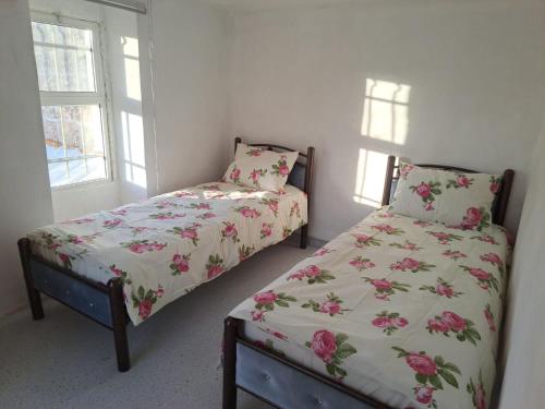 Bayt Sāḩūr的住宿－The Lemon Homes，一间卧室设有两张床和两个窗户。