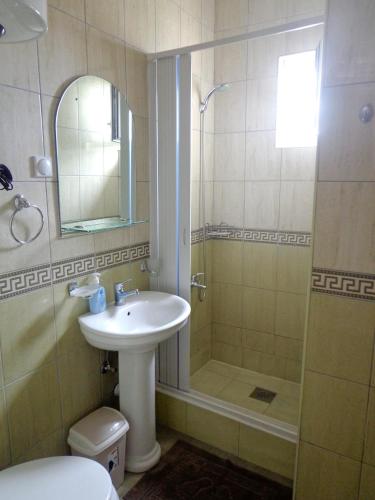 a bathroom with a shower and a sink and a shower at Villa Semashko in Bar