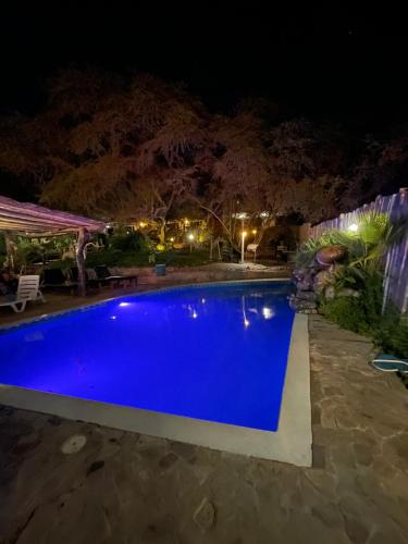 a blue swimming pool at night at Rochabus in Ica