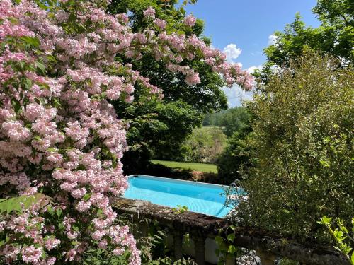 une piscine entourée de fleurs roses dans l'établissement Mas des Poutres - Tiny house, à Charmes-sur-lʼHerbasse