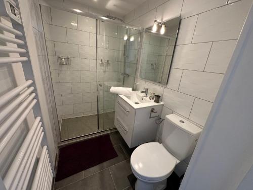 a bathroom with a toilet and a sink and a shower at Le Caprice de Beaulieu in Beaulieu-sur-Dordogne