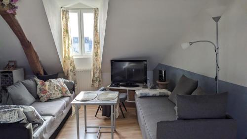 un soggiorno con divano e TV di Chambres d'hôtes La Charmante a La Flèche