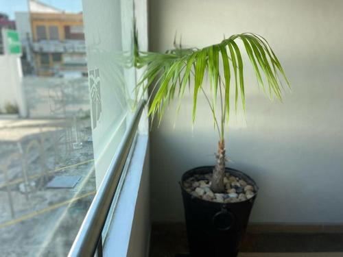 a potted plant sitting on a window sill at Hotel Santo Domingo Express in Villahermosa