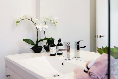 a bathroom sink with two bottles of wine and flowers at Luxury in Kaiteriteri in Kaiteriteri