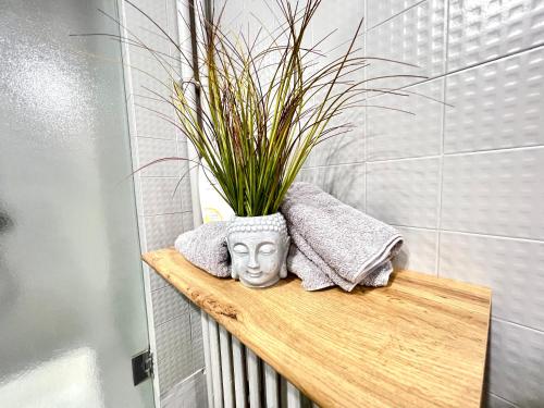 a plant sitting on a shelf in a bathroom at Studio cosy Bali 1 à 4 pers porte du Futuroscope in Chasseneuil-du-Poitou