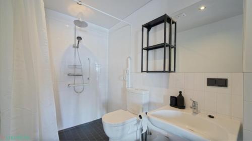 a bathroom with a shower and a toilet and a sink at Lielpīles in Radziņciems