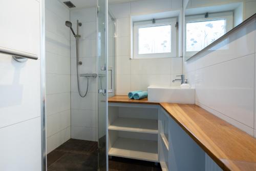 a bathroom with a sink and a shower at Moerellahof, Gezin & Familie vakantiehuis aan het Veersemeer ALLEEN GEZINNEN in Wolphaartsdijk