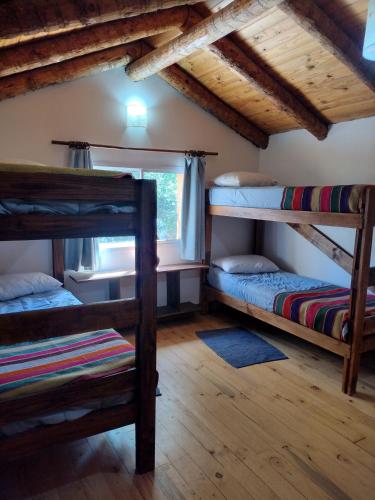 1 dormitorio con literas en una cabaña en Cabaña Los Abedules en Villa Pehuenia