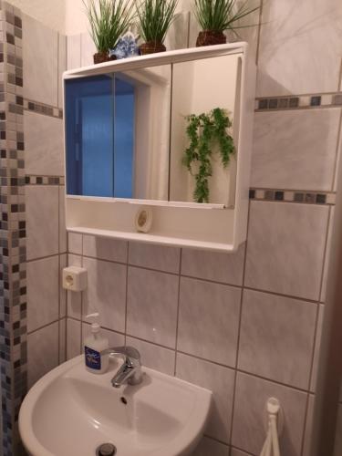 un bagno con lavandino, specchio e piante in vaso di Spacey,central apartment near Alexanderplatz a Berlino