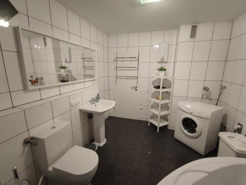 a bathroom with a toilet and a sink and a mirror at ZEN Apartment - spacious for 7 - central - kitchen in Offenbach