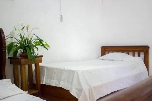 a bedroom with a bed and a plant on a table at Hotel Rabin Itzam in Lanquín