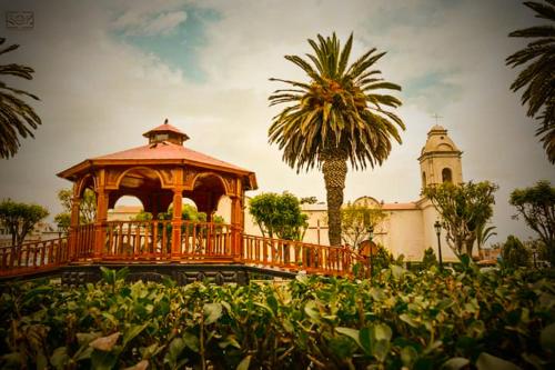altana przed budynkiem z palmą w obiekcie Katalina's Guest House Arequipa w mieście Arequipa