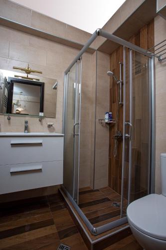 a bathroom with a shower with a toilet and a sink at COSY Appartment in Bakuriani