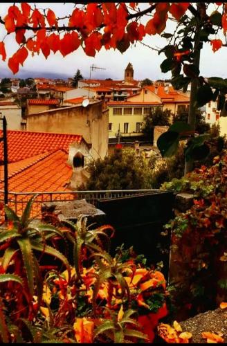 Gallery image of le Rose di santina in Mamoiada
