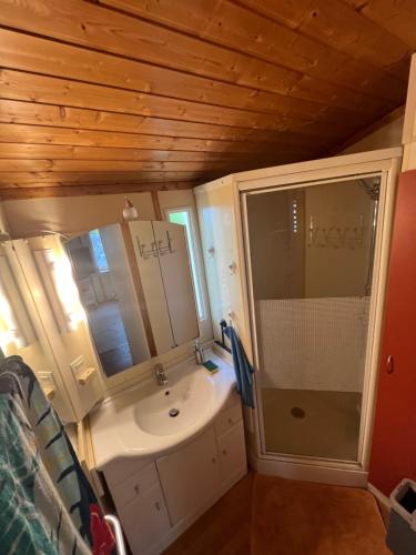 La petite salle de bains est pourvue d'un lavabo et d'une douche. dans l'établissement Chalet agréable en bord en de mer., à Le Port-des-Barques