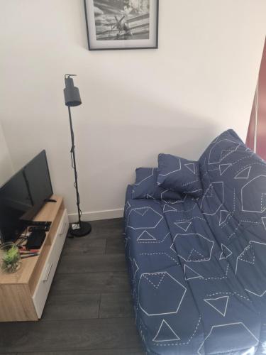 TV a/nebo společenská místnost v ubytování Petite maison cocooning