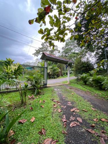 a gravel road with leaves on the grass at Campo Verde House, La Fortuna de San Carlos in Fortuna