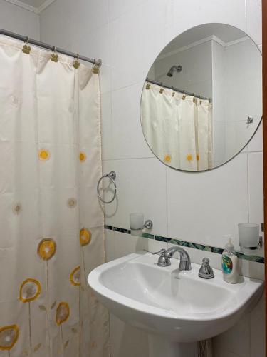 a bathroom with a sink and a mirror at Departamento Arbo y Blanco in Resistencia