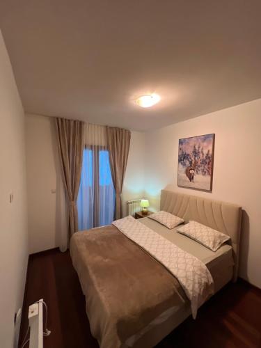una camera con un grande letto e una finestra di Sweet Apartments a Žabljak